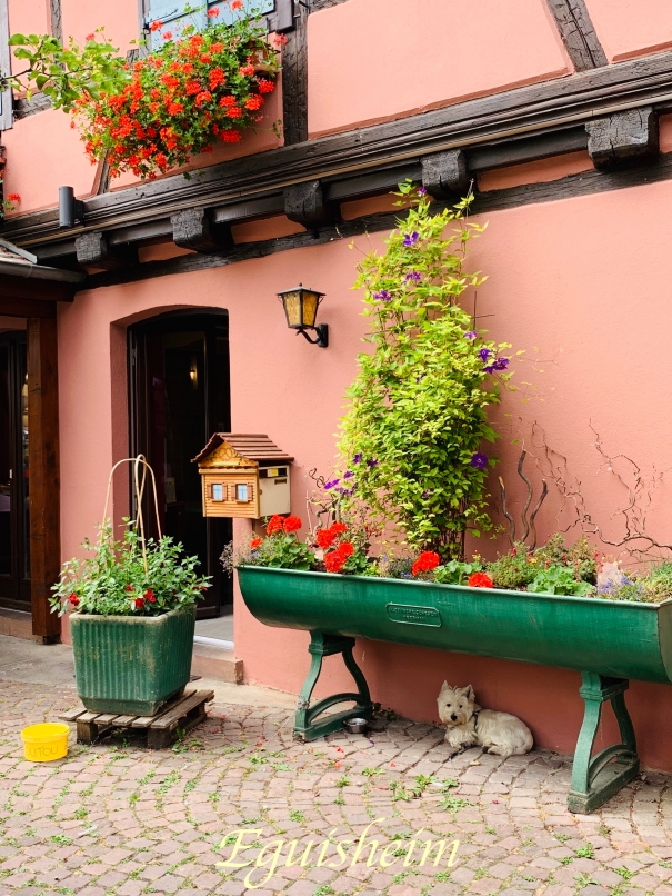 Eguisheim(Frankreich)